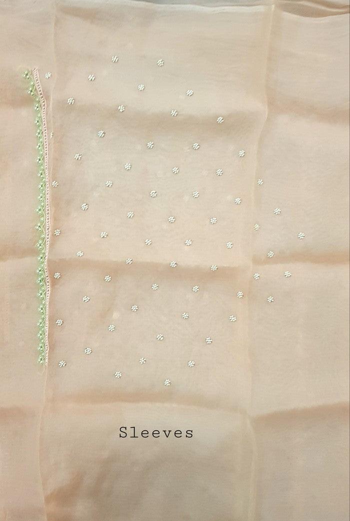 Designer Organza Saree ( Zardozi Work ) - Adah Chikankari