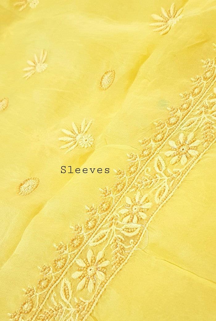 Chikankari Pure Organza Silk ( Pearl Work ) - Adah Chikankari