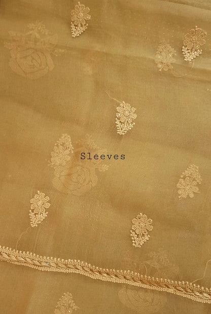 Chikankari Pure Organza Silk ( Kurta & Dupatta ) - Adah Chikankari